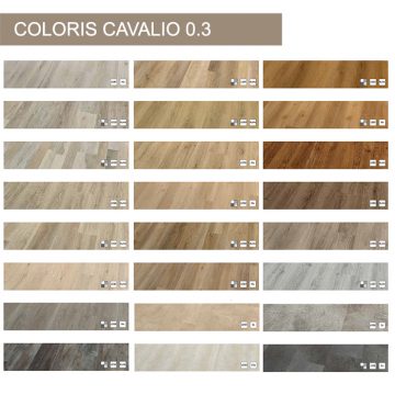 cavalio03coloris